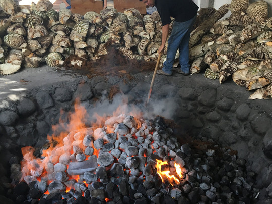 Fabrica de Mezcales El Sabino-瓦哈卡必去景点