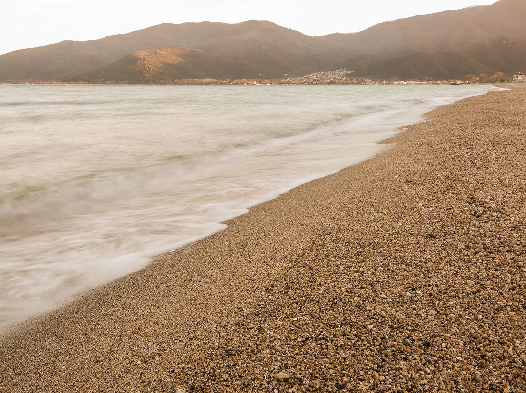 Rhapsody House主图