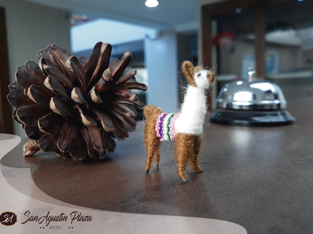 Hotel San Agustin Plaza主图
