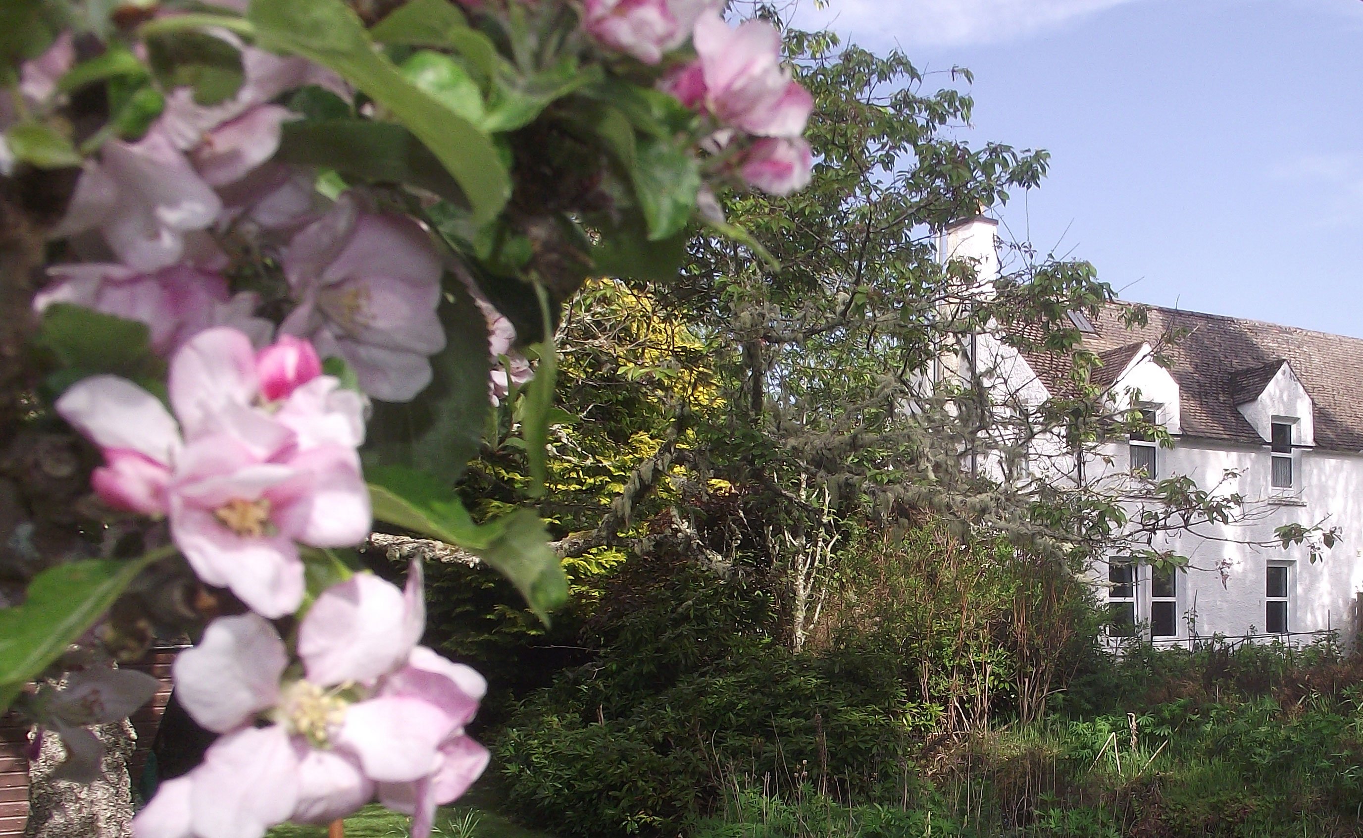 Shenval Bed & Breakfast-官方