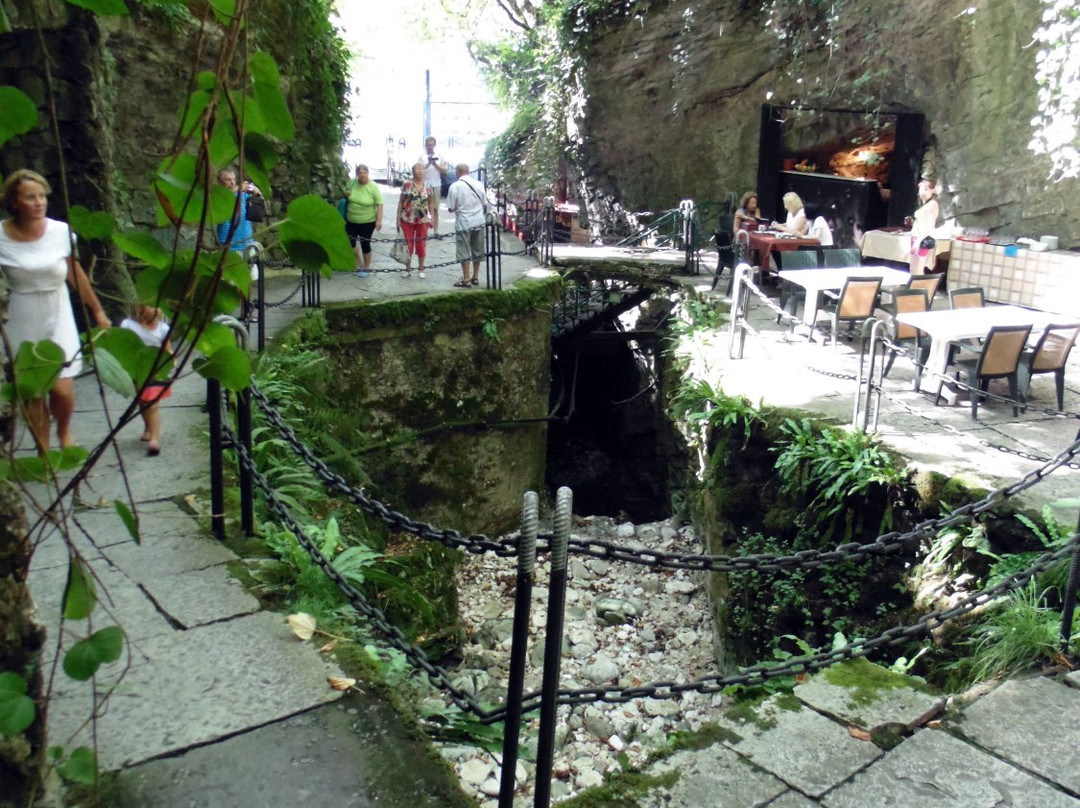 Akhali Atoni餐馆和美食-Restaurant Ushhelye
