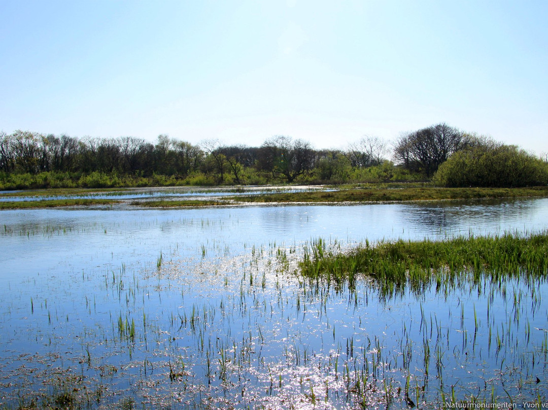 Natuurgebied Zwanenwater景点图片