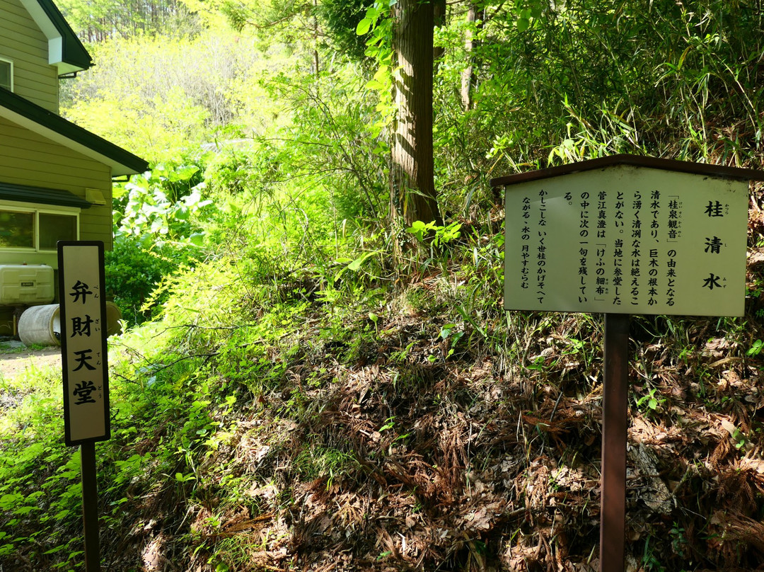 Hachiyozan-Tendaiji Temple景点图片