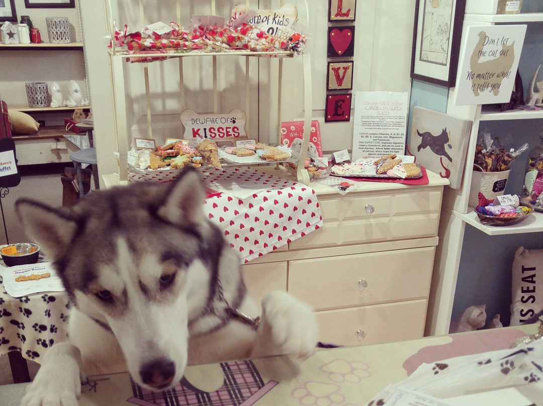 Spoil The Dog Bakery景点图片