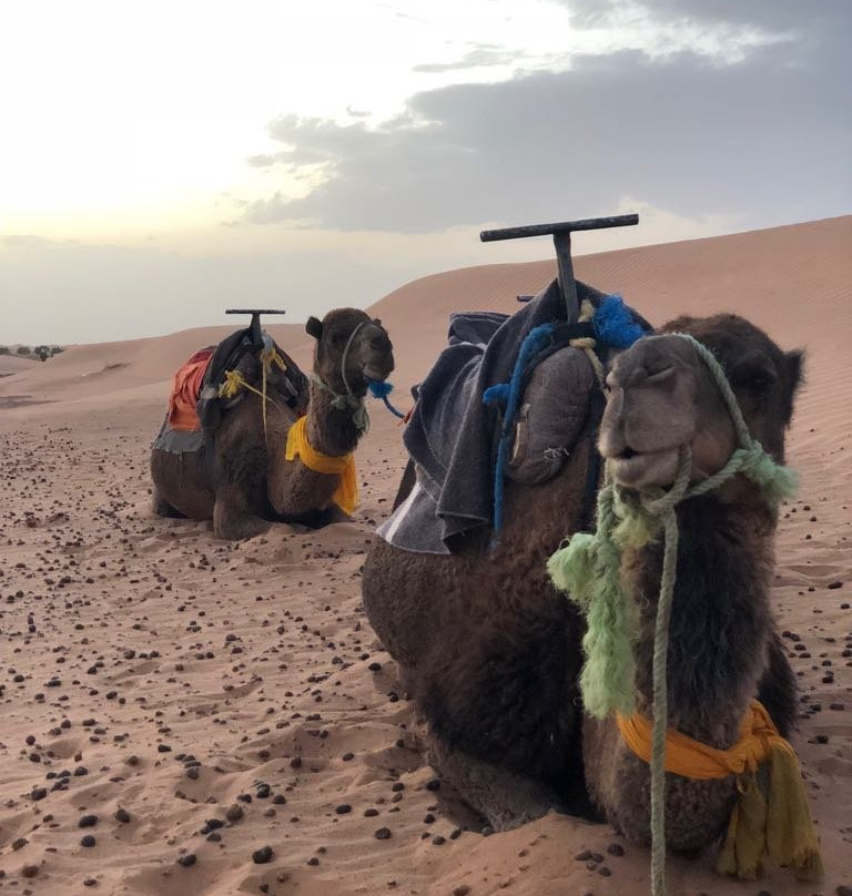 Moroccan Sahara景点图片