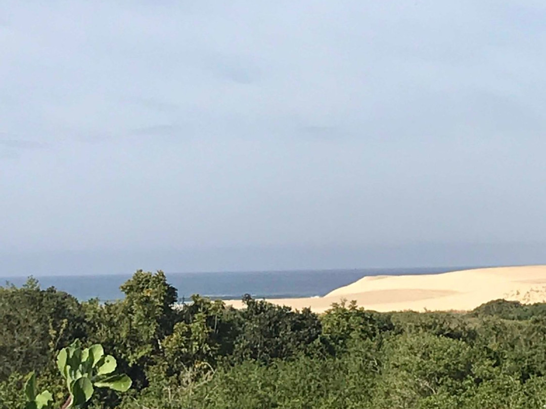 Oyster Bay Lodge主图