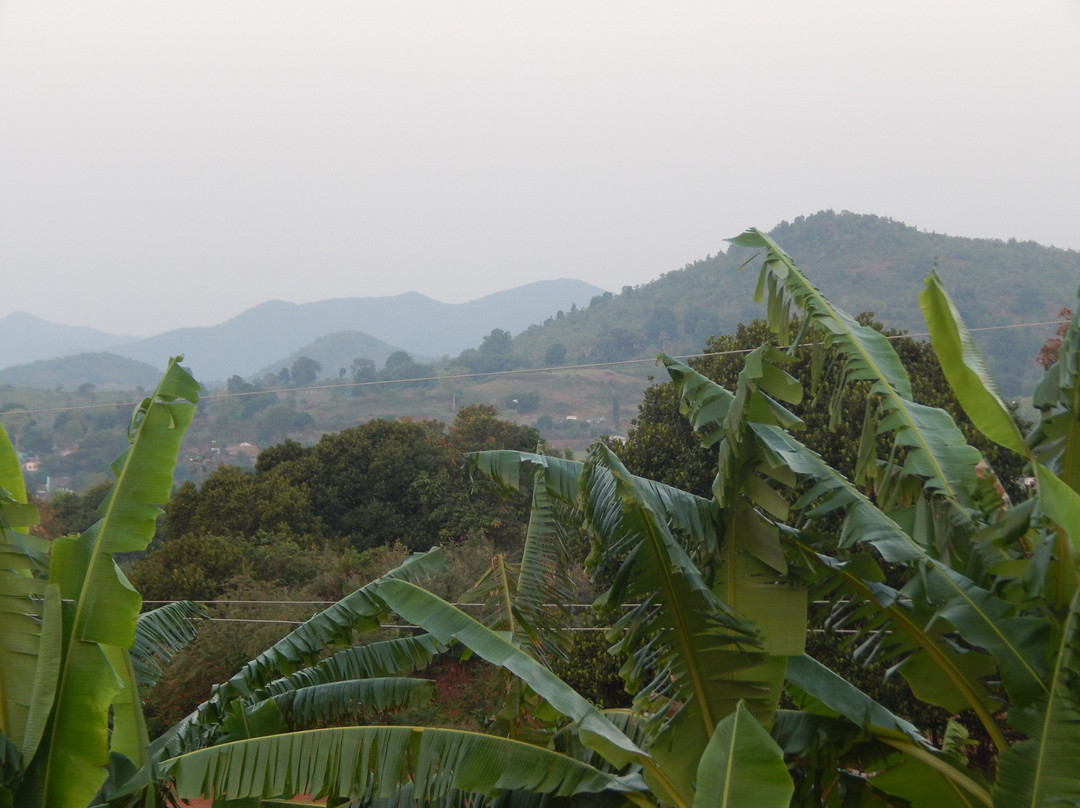 Deers Eco Home主图