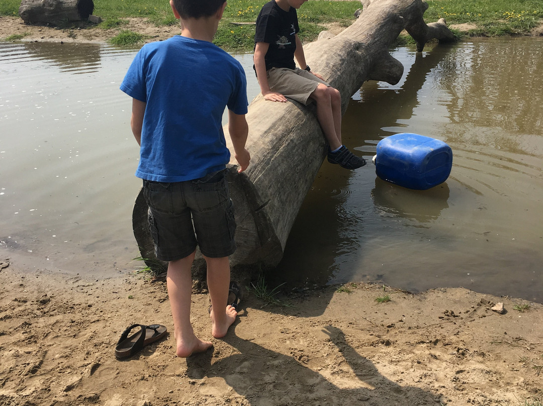 Natuurspeelplaats Bûûtenplaets