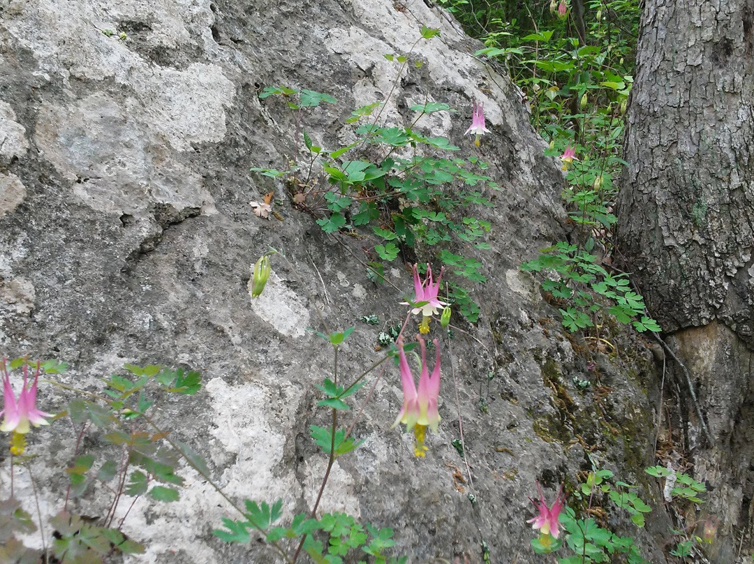 Redbud Valley-Catoosa必去景点
