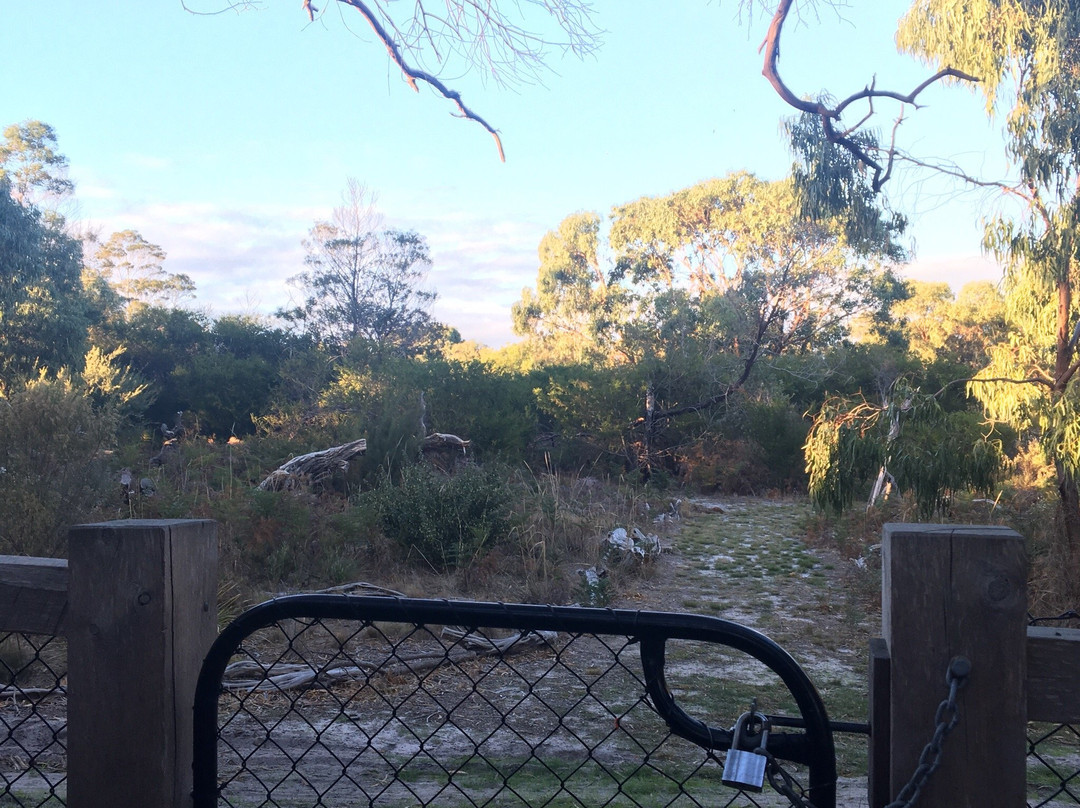 Bay Road Heathland Sanctuary-Sandringham必去景点