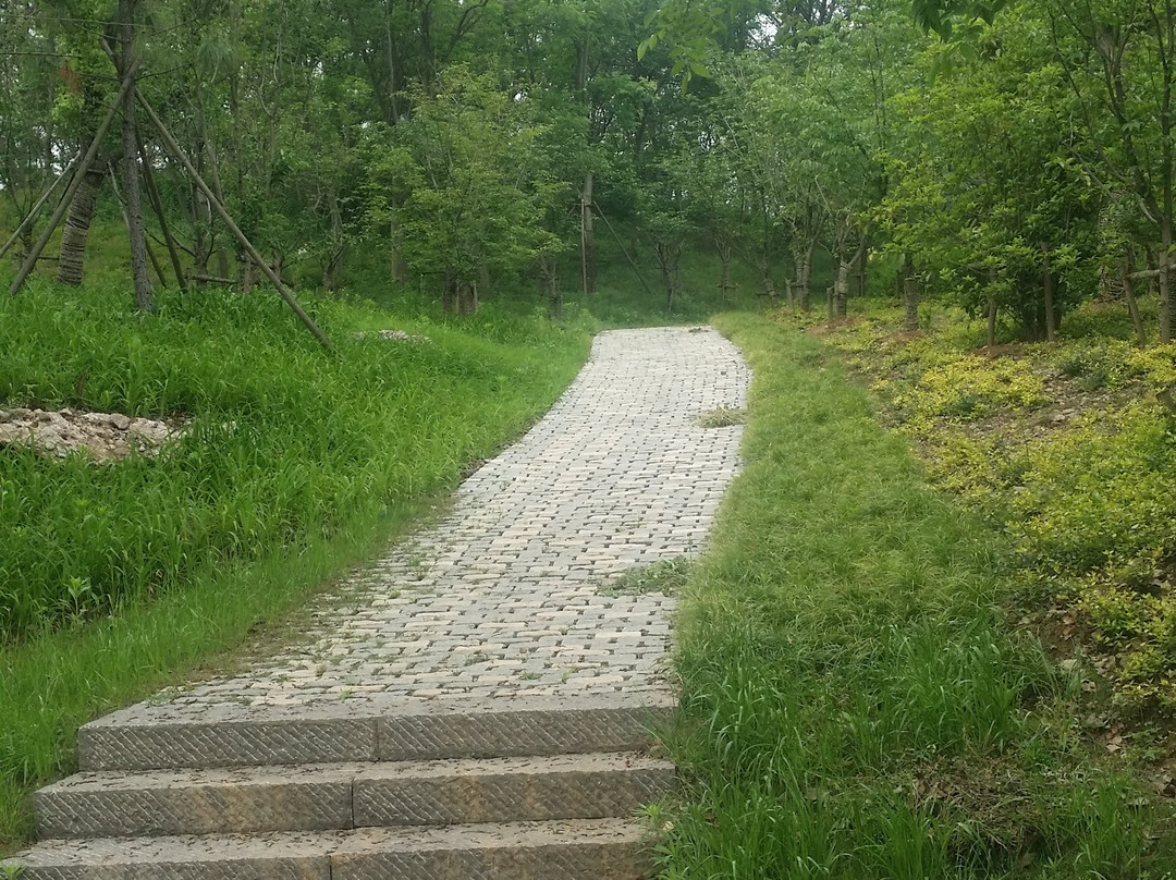 天生桥-溧水县必去景点