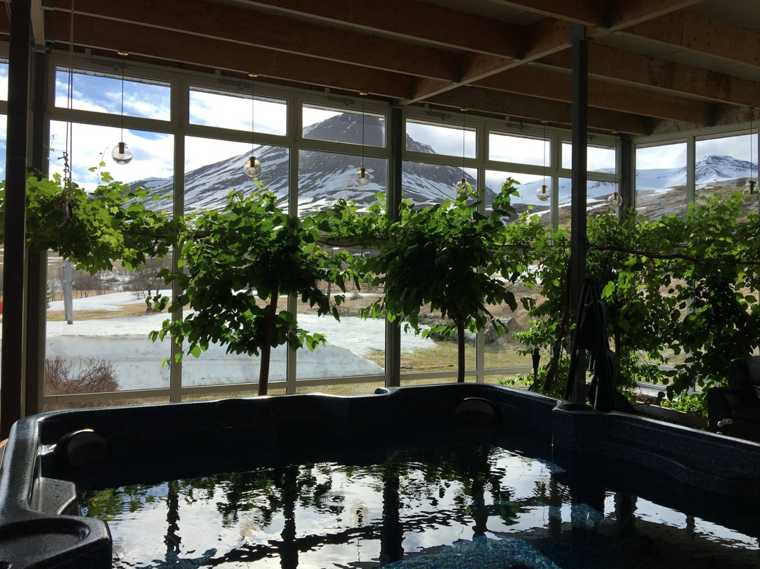 Viking Heliskiing Iceland-Siglufjorour必去景点