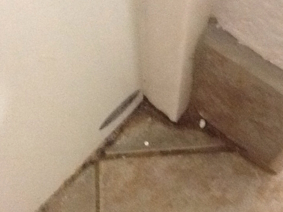 Spark By Hilton Bentonville主图