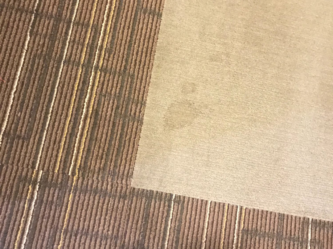 Home2 Suites By Hilton Columbus主图