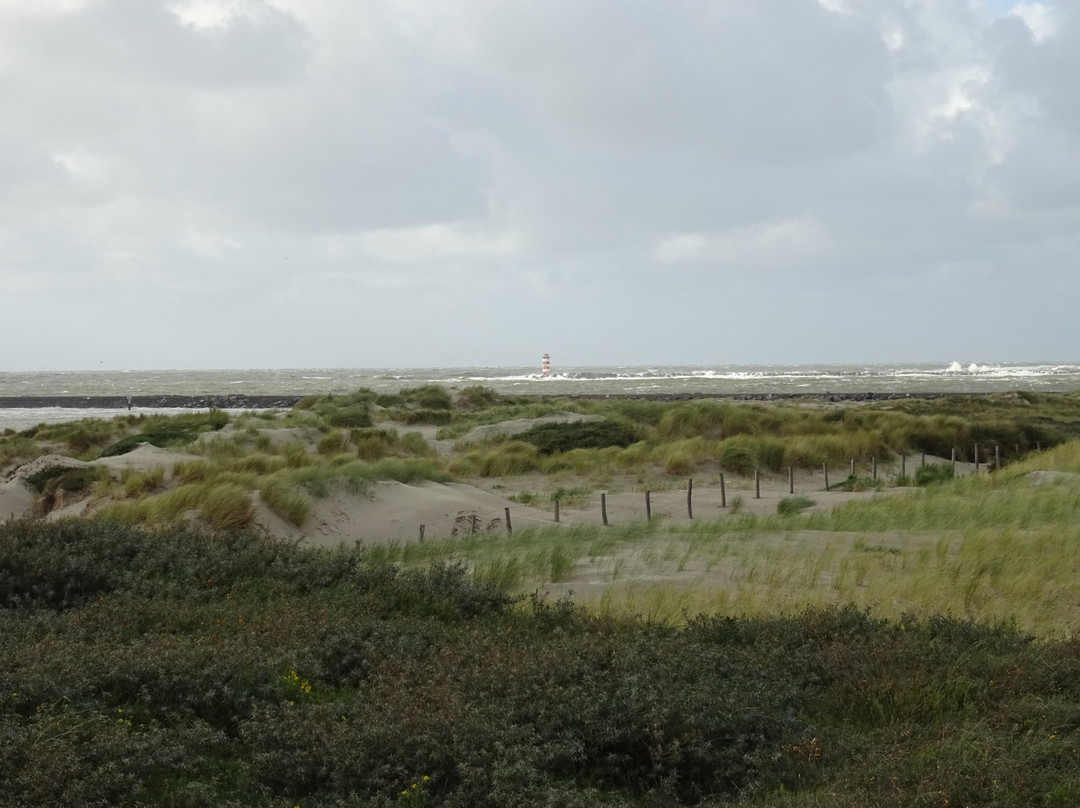 Het Strand van IJmuiden aan Zee景点图片