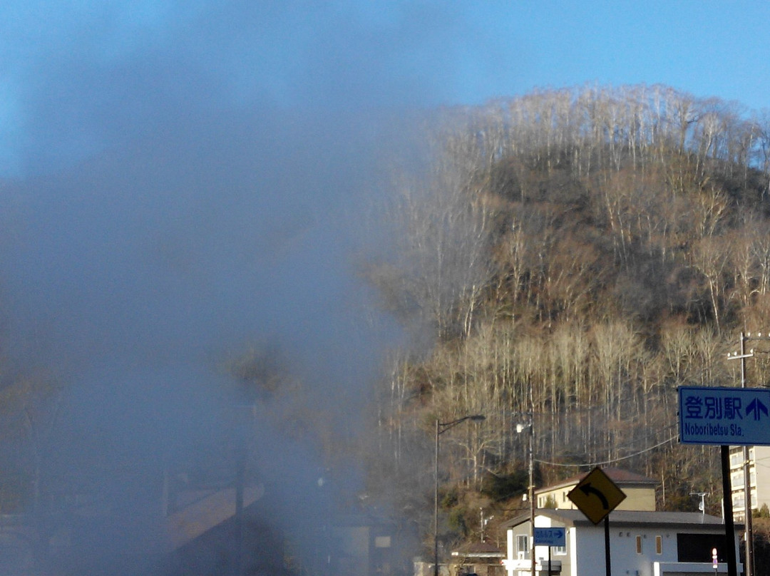 Yuzawa Shrine景点图片