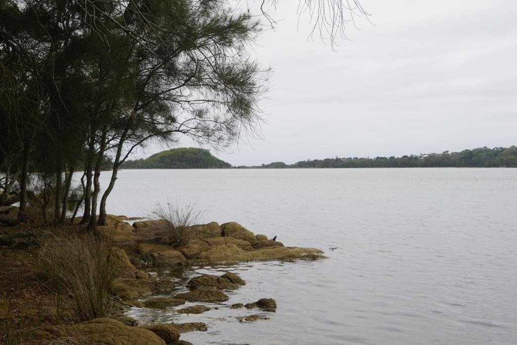 Bodalla Forest Rest Area-Bodalla必去景点