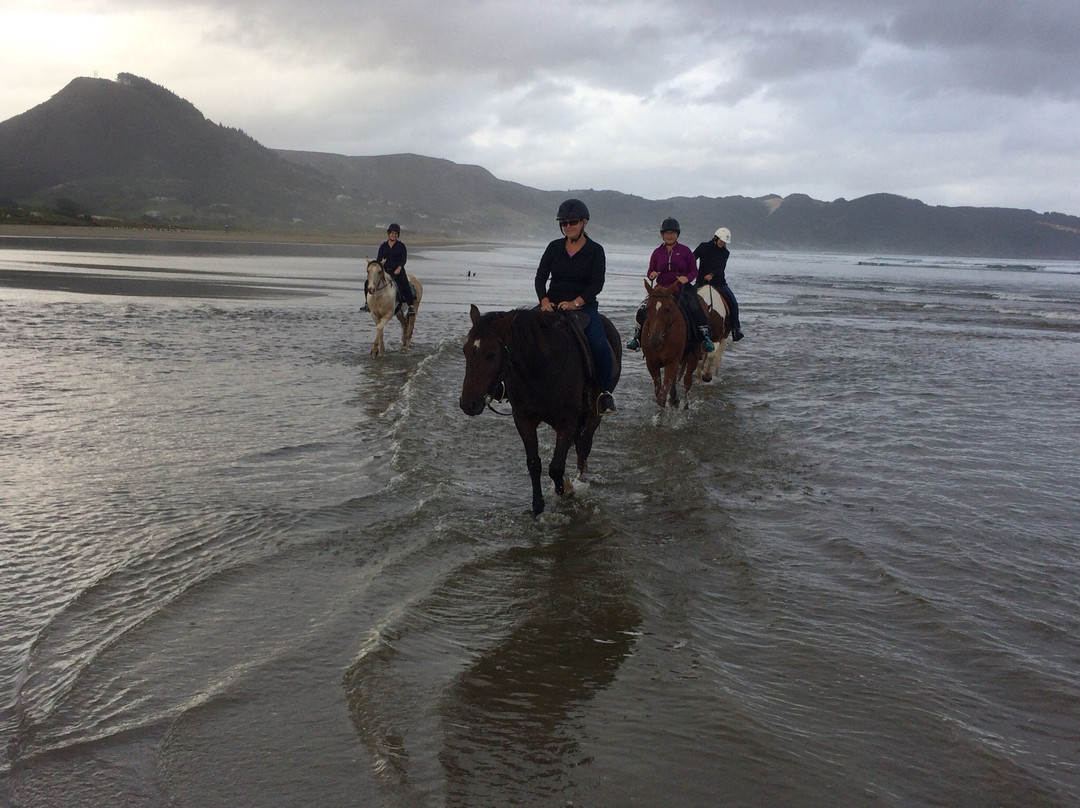 Ahipara Horse Treks景点图片