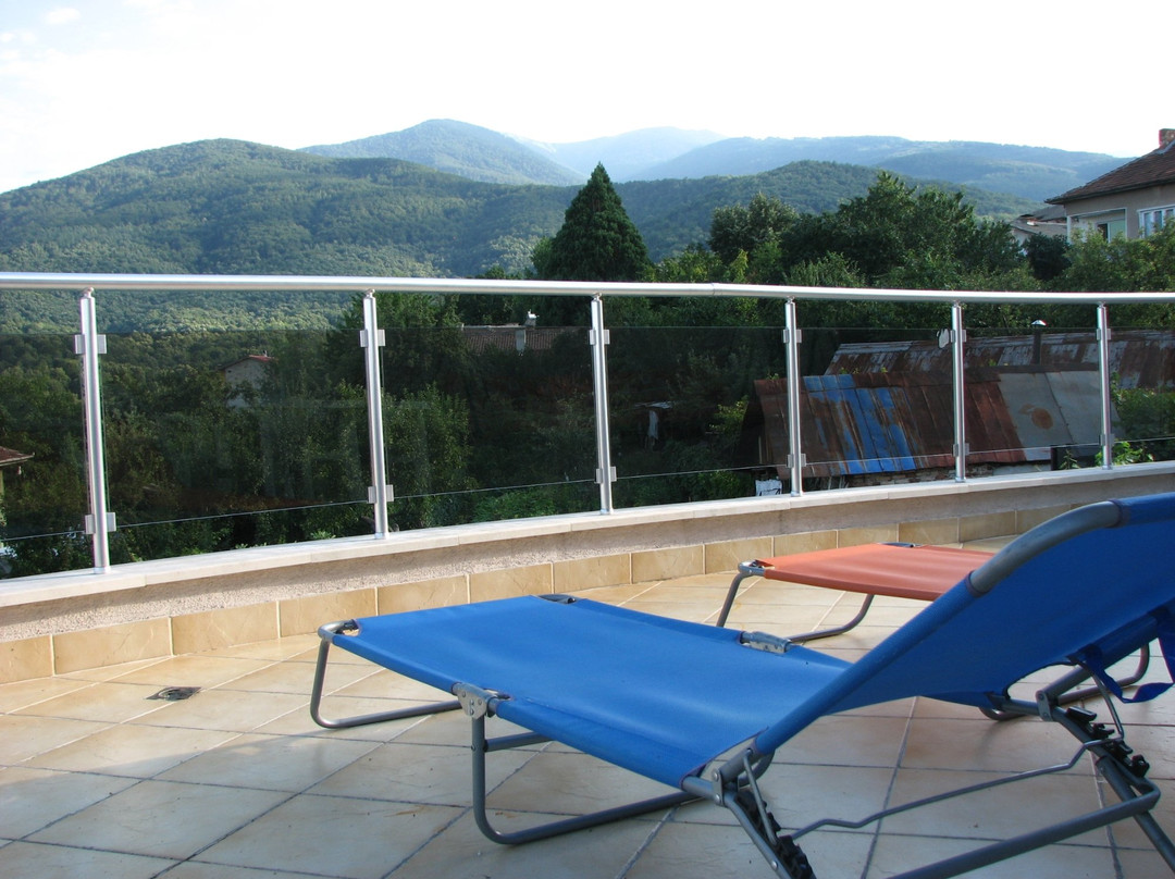 Family Hotel Camellia主图