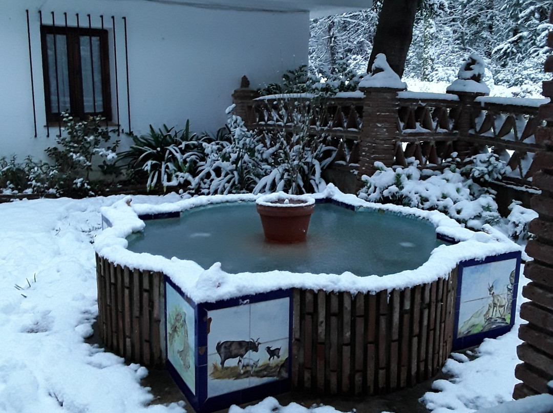 胡安娜庇护所酒店主图