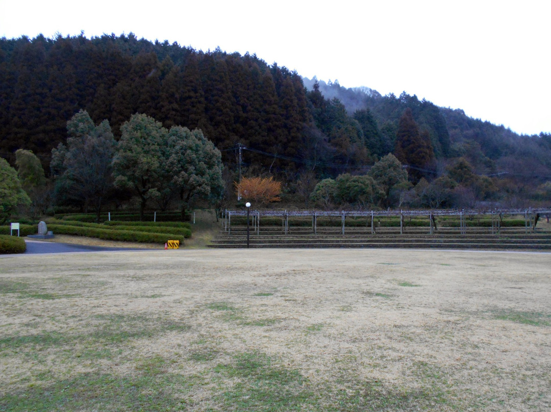 Wampaku Okoku Soyokaze no Oka景点图片