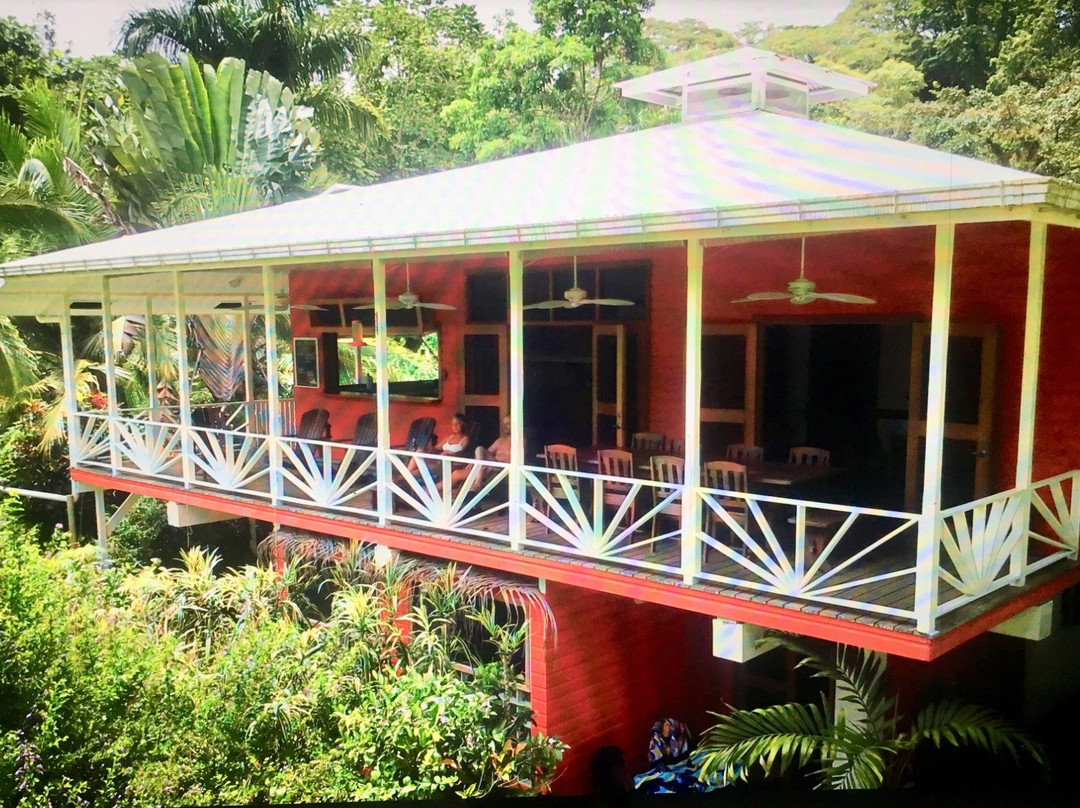 Turtle Beach House主图