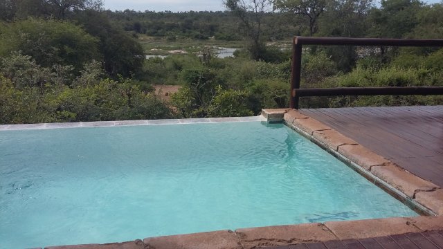Bushwise Safari lodge Kruger Park-泳池
