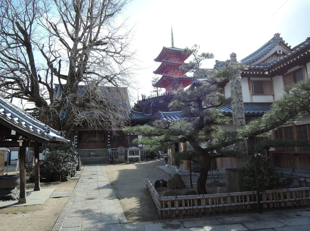 Saiko-ji Temple景点图片