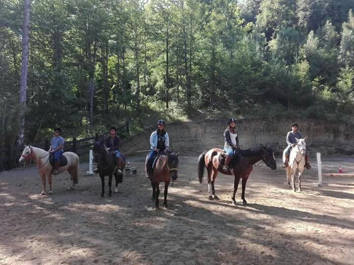 Centro Ecuestre San Pedro-Curarrehue必去景点