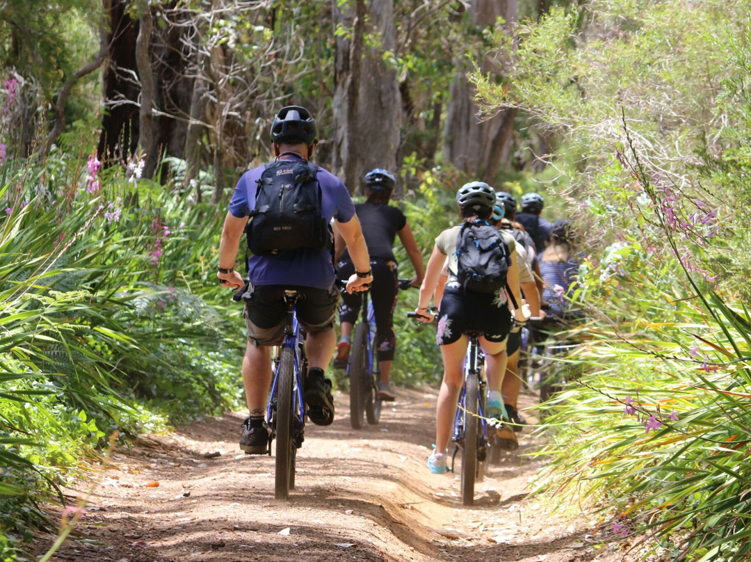 Dirty Detours Mountain Bike Adventures景点图片