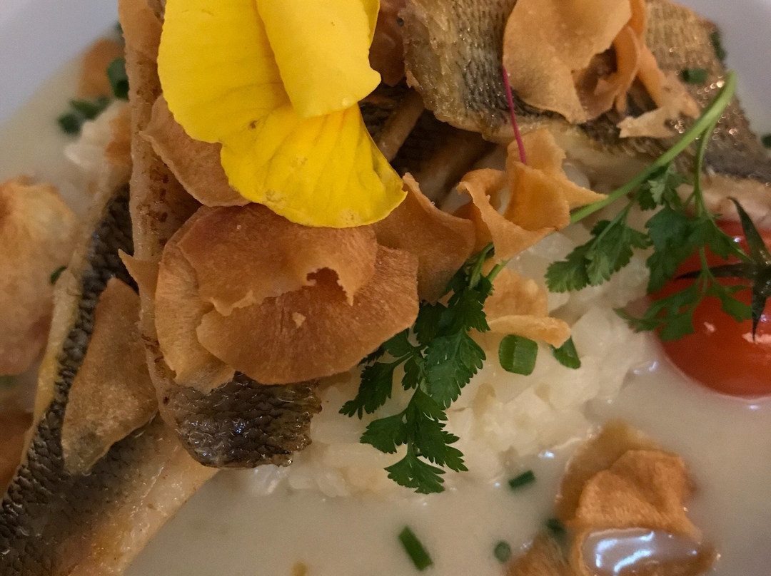 Restaurant Elbterrasse