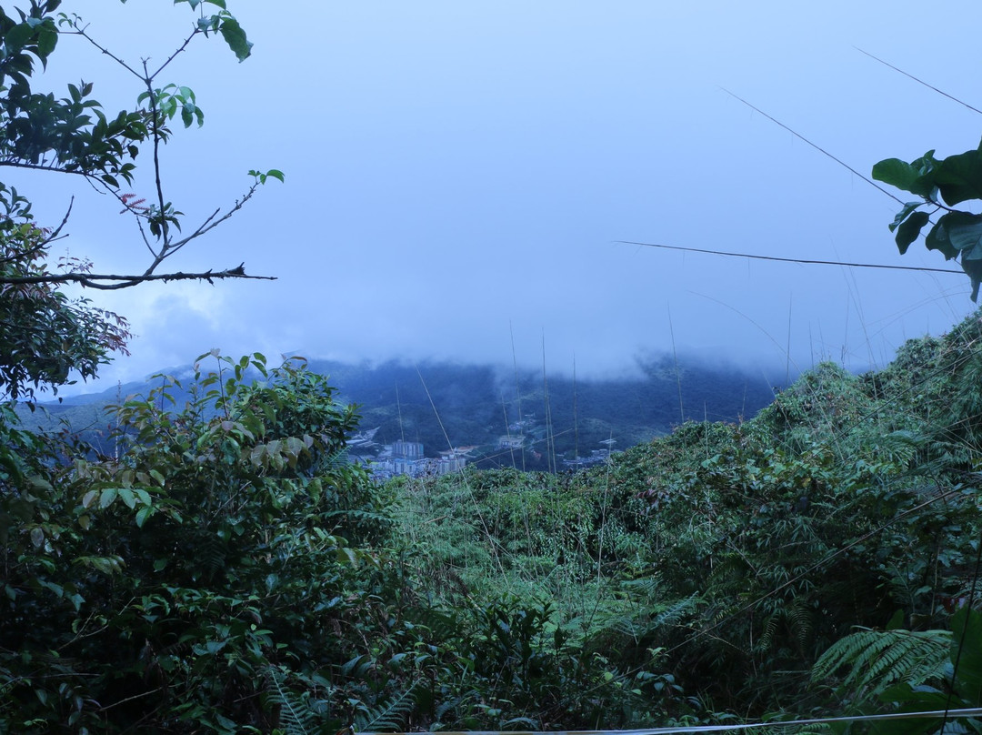 Mount Berembun景点图片