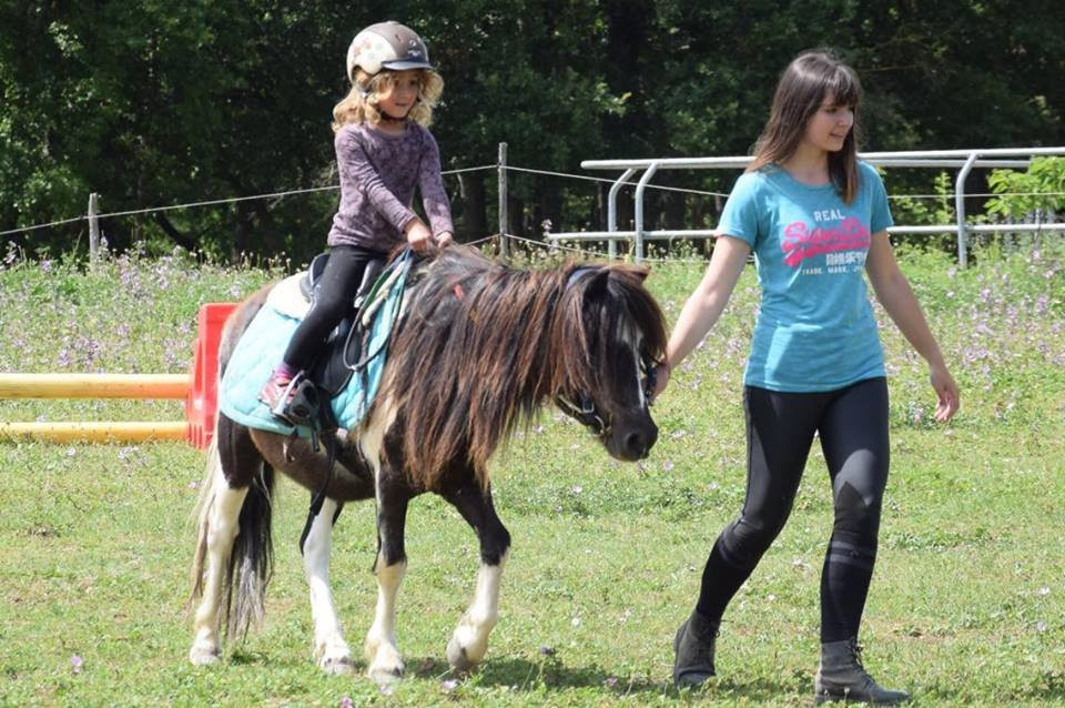 Ferme Equestre de la Gresigne景点图片