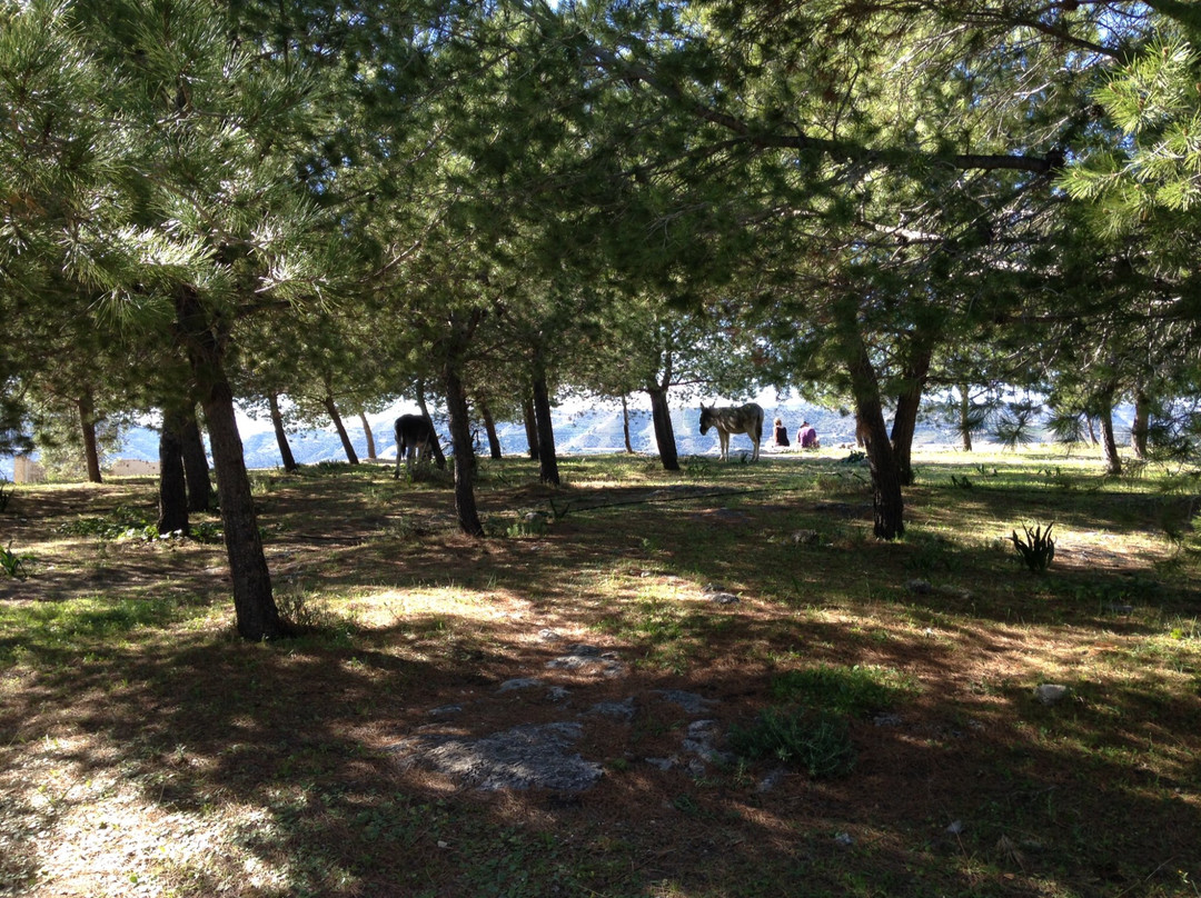 Castillo de Lizar-弗里希利亚纳必去景点