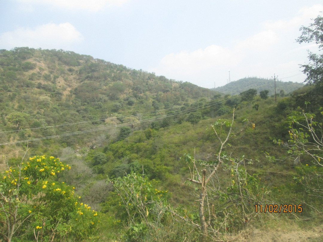 Attappadi Hills景点图片