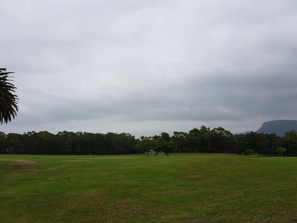 Stuart Park-卧龙岗市必去景点