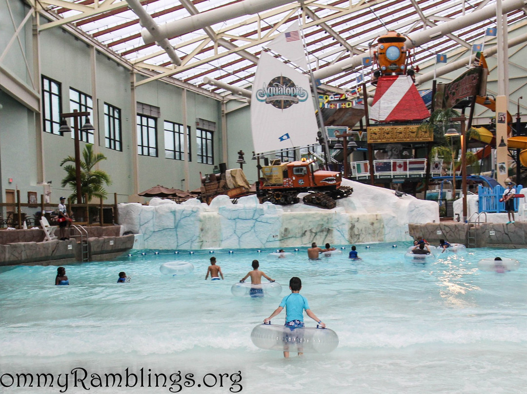 Camelbeach Mountain Waterpark景点图片