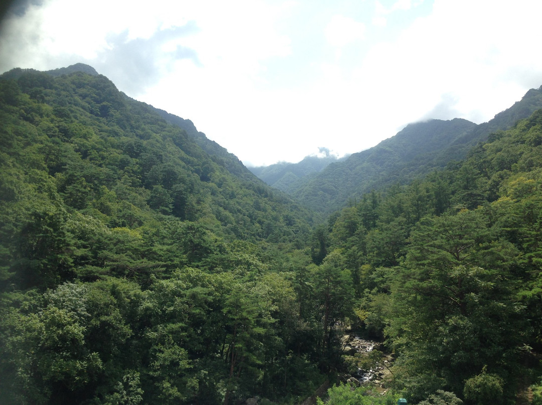Mount Myohyang景点图片