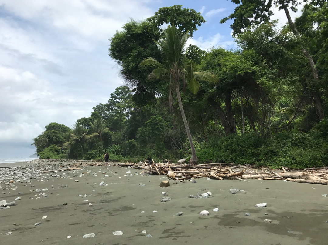 Corcovado National Park景点图片