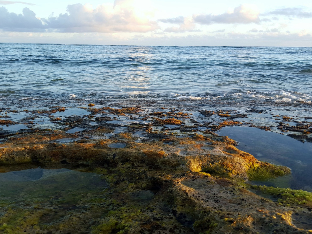 2023年9月Mokuleia旅游景点攻略Mokuleia旅游住宿,Mokuleia旅游美食猫途鹰