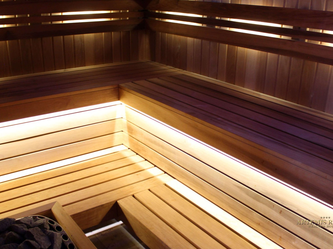 Artemis Resort Wellness Hotel主图