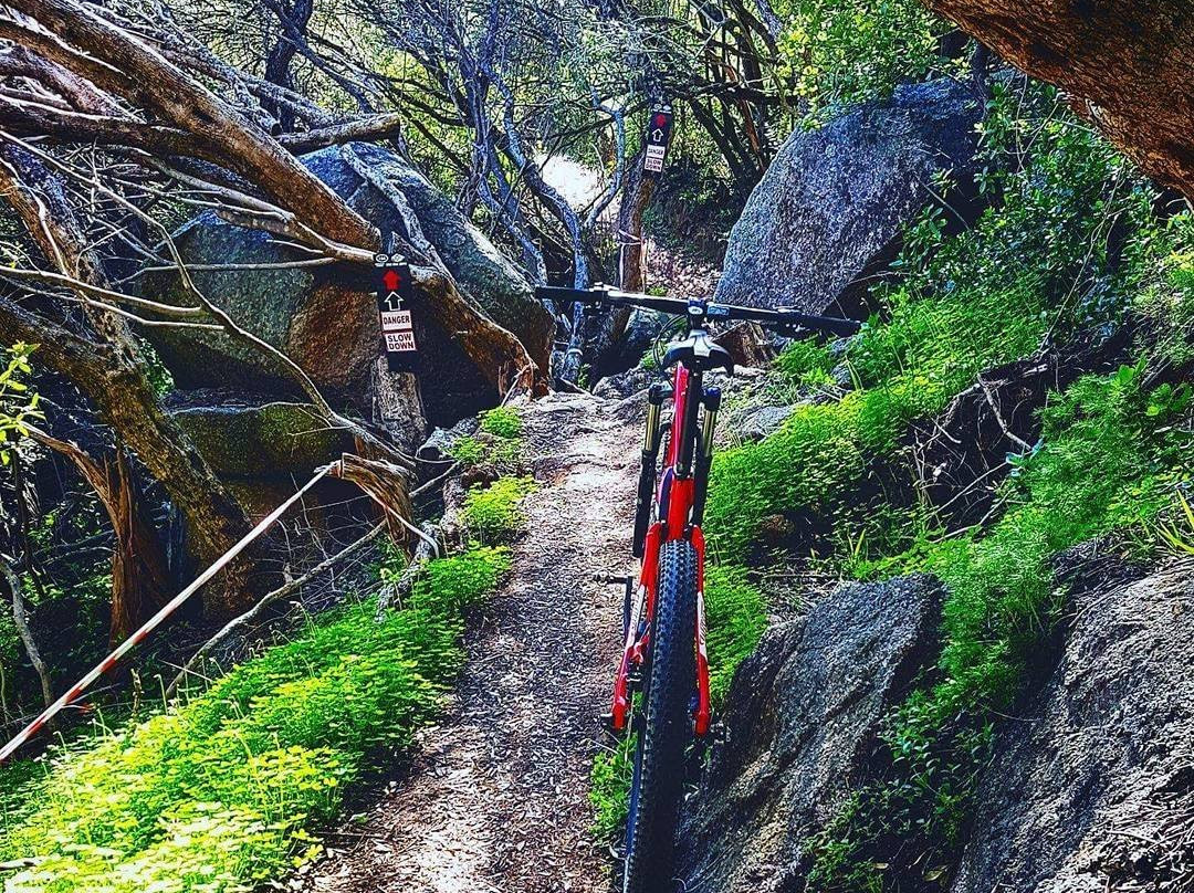 Rhebokskloof MTB Trails景点图片