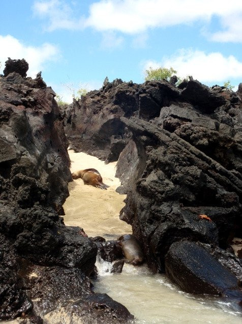 Puerto Grande景点图片