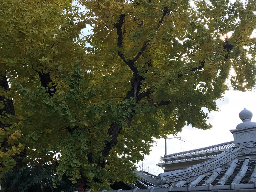Yakushi-ji Temple-东大阪市必去景点