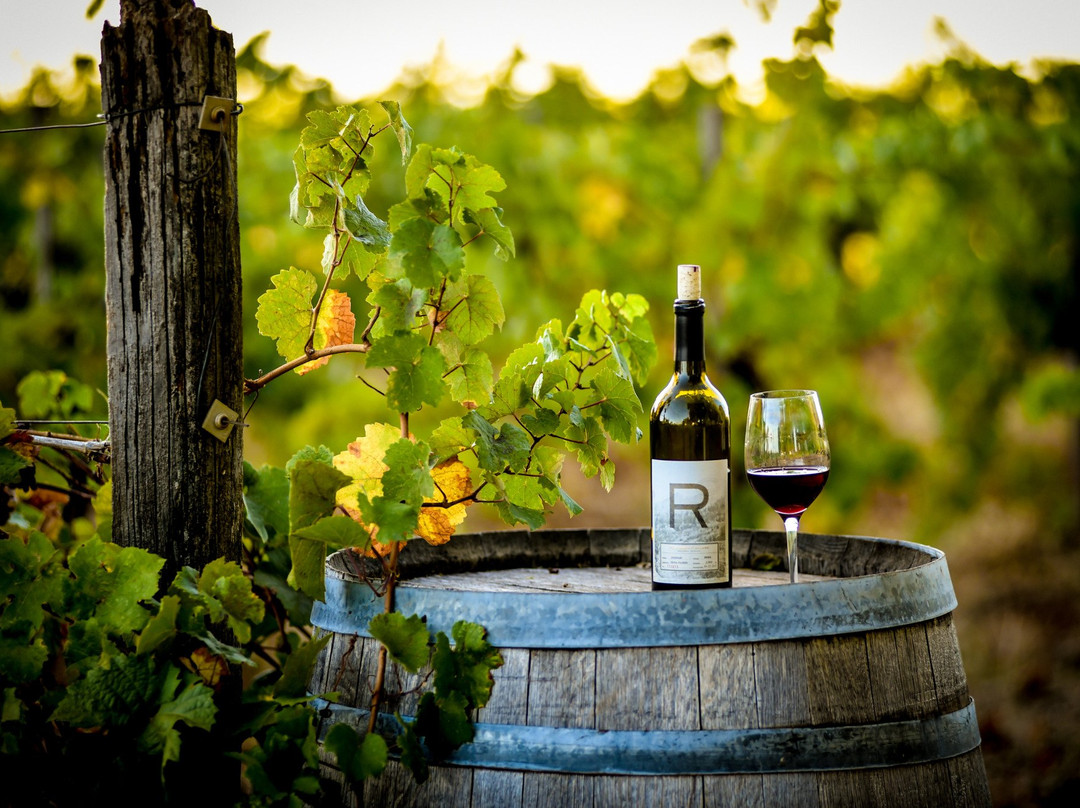 Rucksack Cellars-普莱瑟维尔必去景点