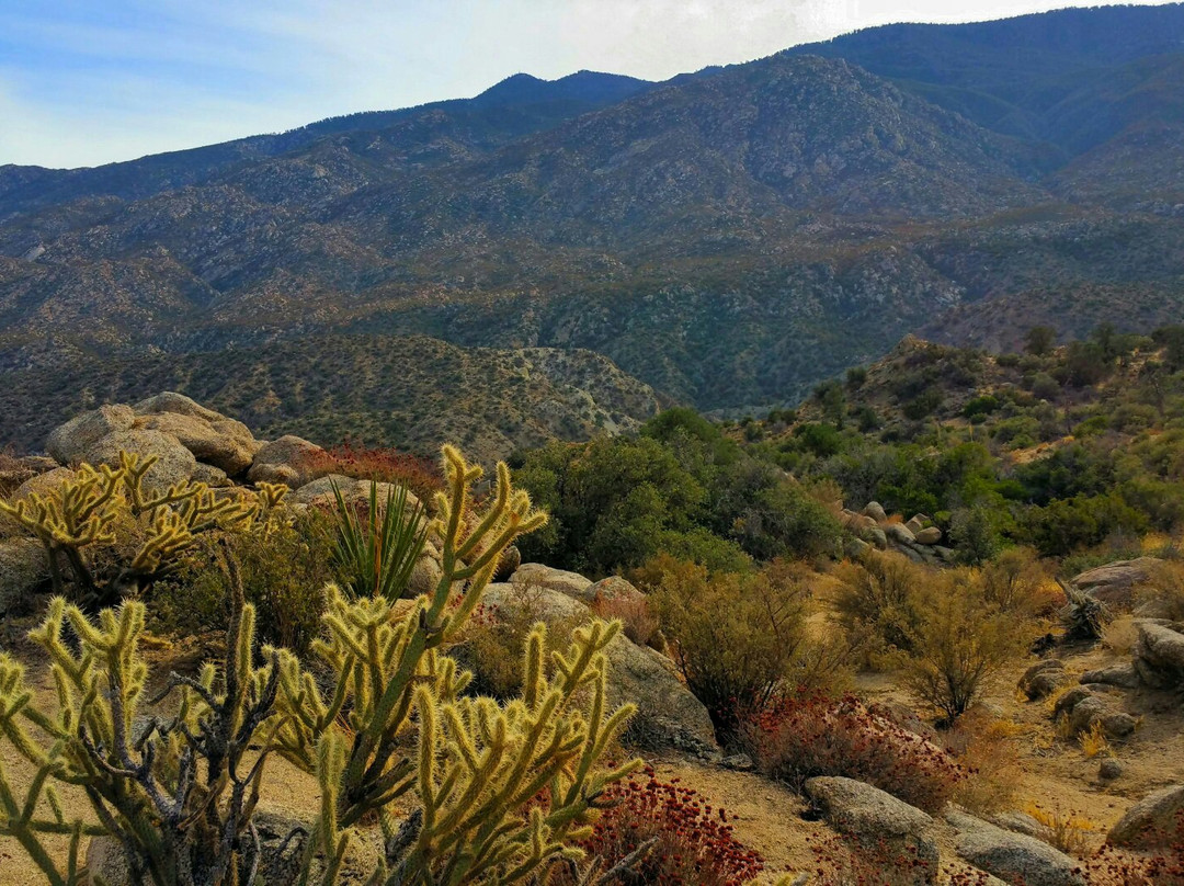 Cahuilla Tewanet Scenic Overlook-Mountain Center必去景点