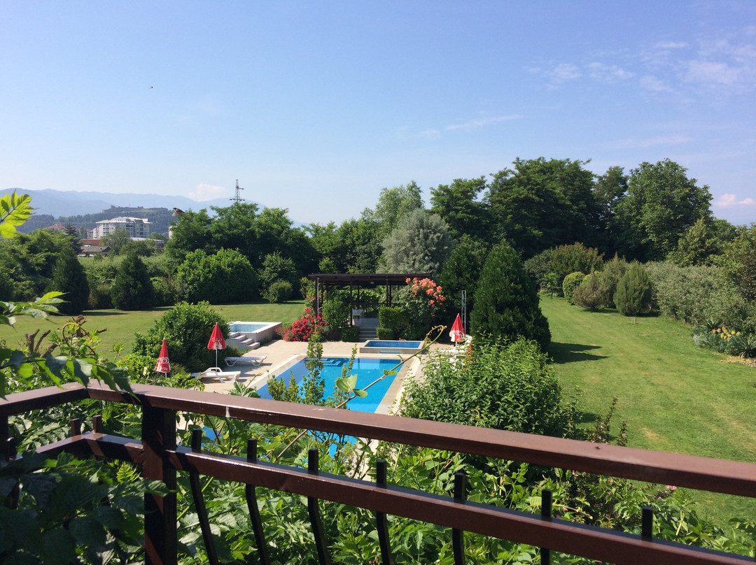 Orovnik酒店住宿-Oaza Inn