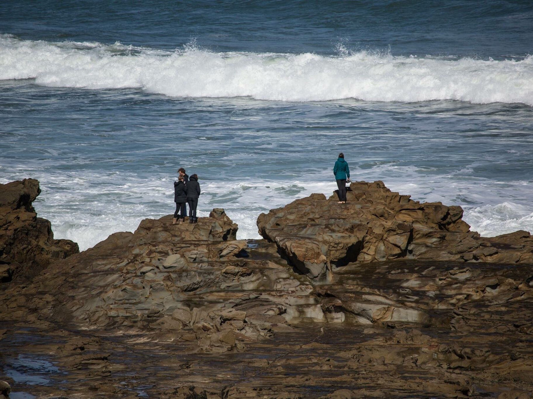 Shelly Beach-Kilcunda必去景点