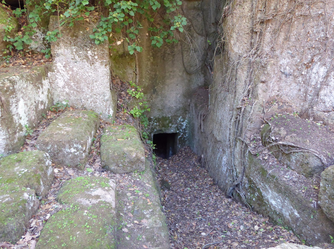 Etruscopolis-塔尔奎尼亚必去景点