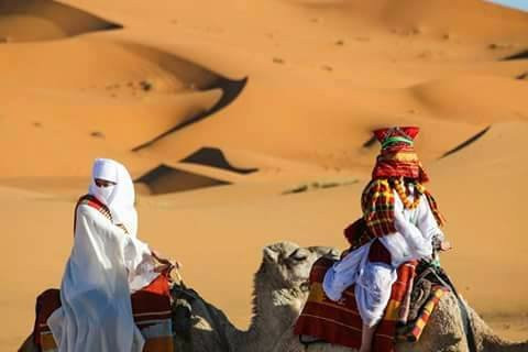 CamelTours-梅如卡必去景点